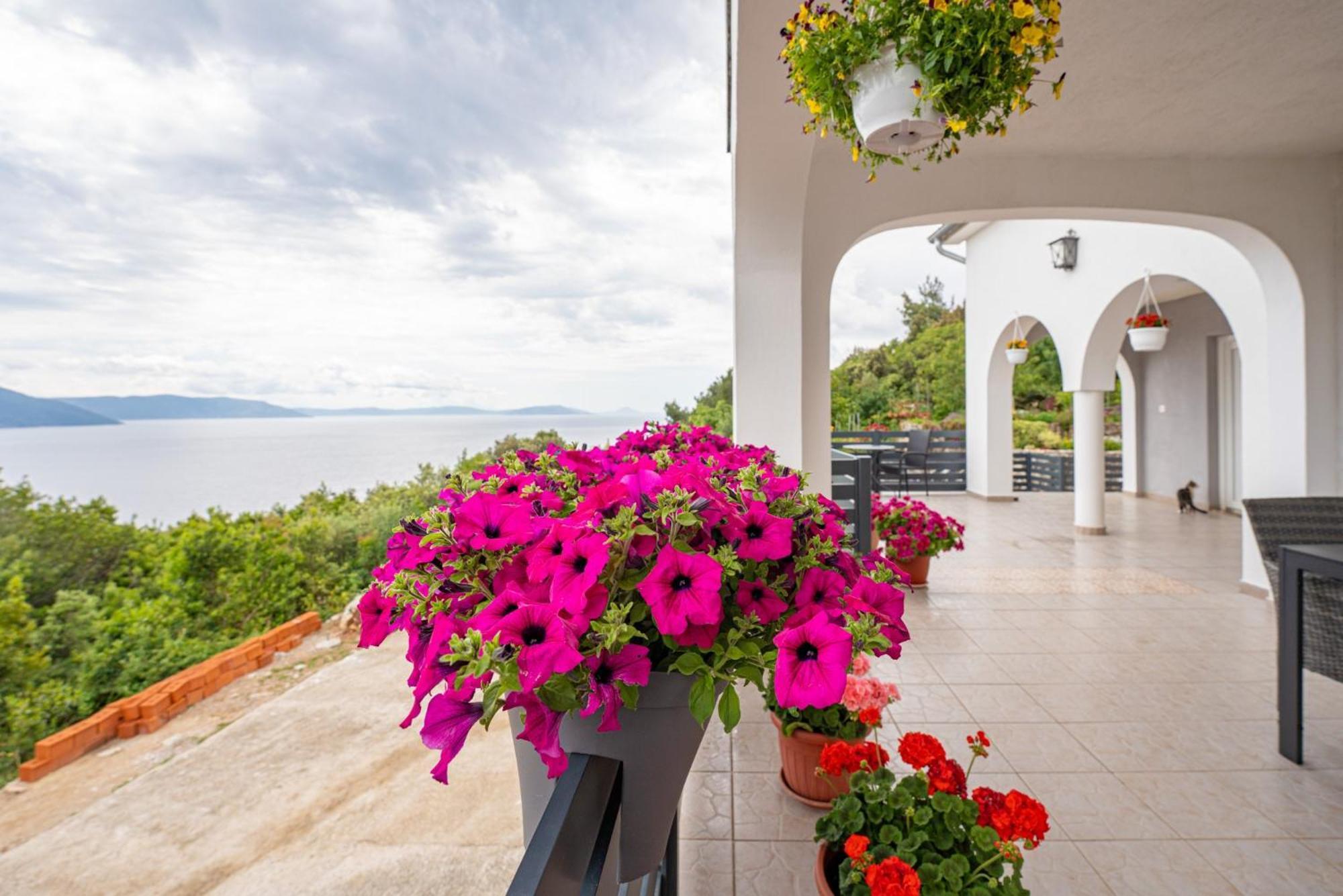 Villa Paradiso In Plomin - Istrien Экстерьер фото